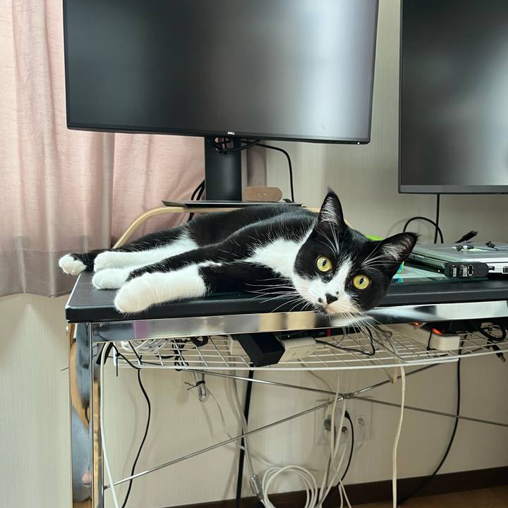 Db338fa5 b5d6 4be1 8666 2685bc885985 1691889871688