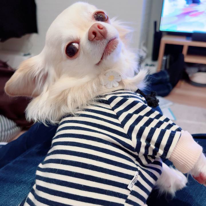 Db33bf6c 26f8 4e54 9a83 523d84f2092f 1712397888662