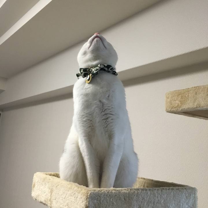 Db33db63 0ae3 4223 8830 d0bd2606e8ac 1508464727633