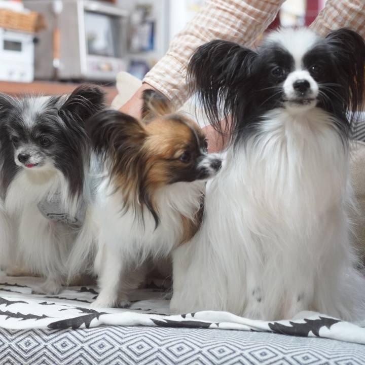 Db33fbe2 e028 45e8 9b98 a1fc5f36501c 1714203329763