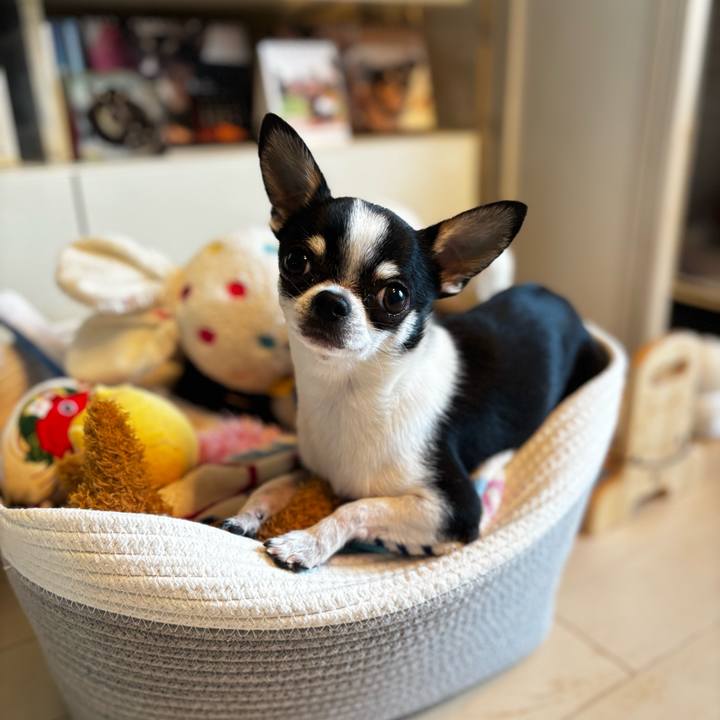 Db34070c a2c0 454d b7fc 5e075a6c5bd9 1773980466862