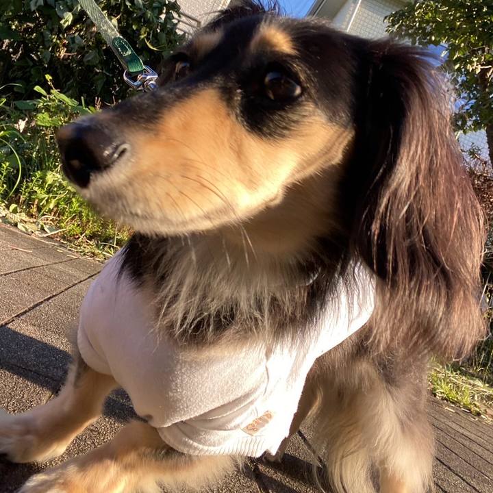 Db341ce2 e21a 4ca4 8dc1 831789cd2292 1758758771974