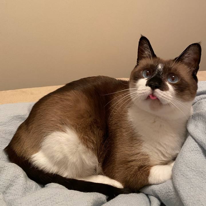 Db3431b8 7cbd 4253 bef6 a9fe592fd9f1 1577537459943