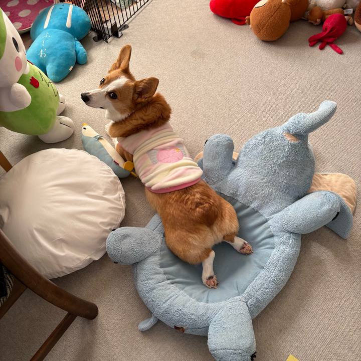 Db347366 a8f1 41b2 b951 0fe393c28868 1767940614743