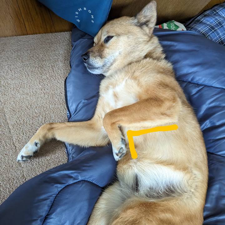 Db347690 71eb 42cb b8cd 6383ee7ee78e 1687355564200