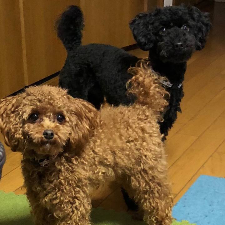 Db347a6b 0aa0 4ff1 b7a0 b2ad5fbcfd3c 1516490688121