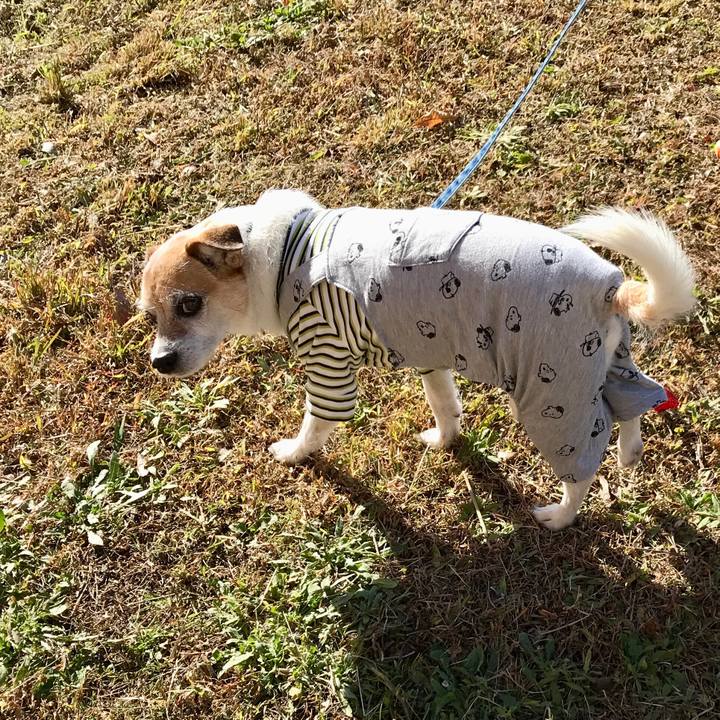 Db348070 ca07 474a a26b b1252492f416 1637993420409