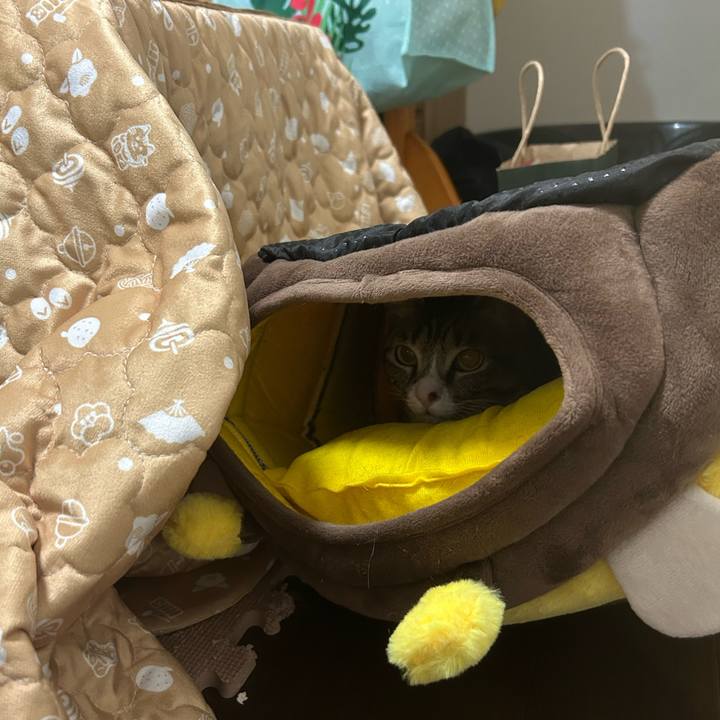 Db348e2c 9afa 4d6d a8a8 7d49c99e5f9d 1772104272334