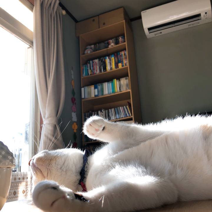 Db349c88 13f3 4949 a630 cf751c7e962e 1515241569806