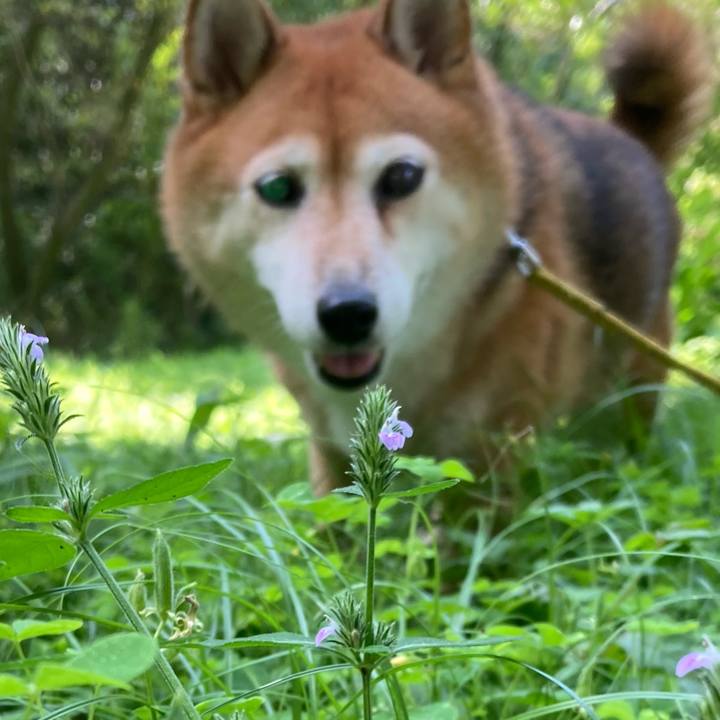 Db34b6b8 701f 4c13 be90 129f2e2f3262 1662869249564