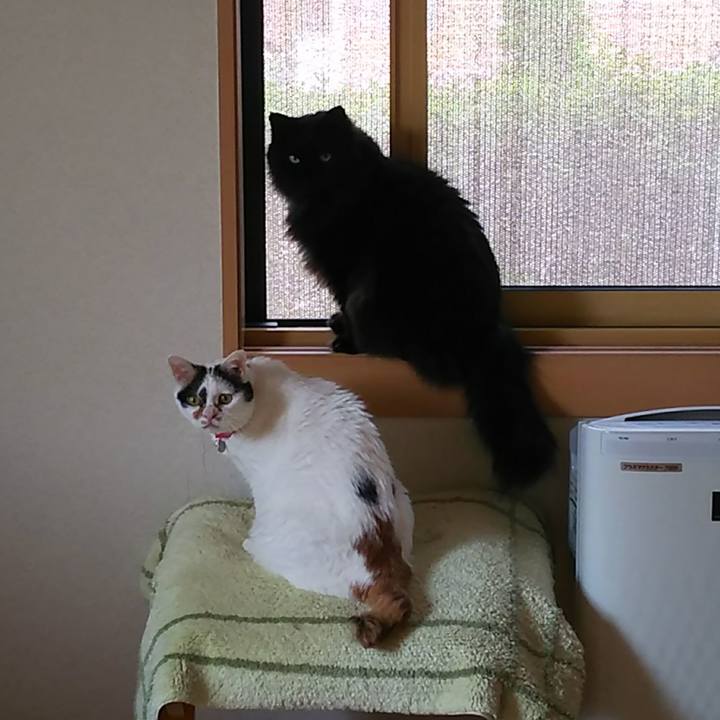 Db3519ff 9b05 4d13 af5b 92871f4f53fc 1529709979218