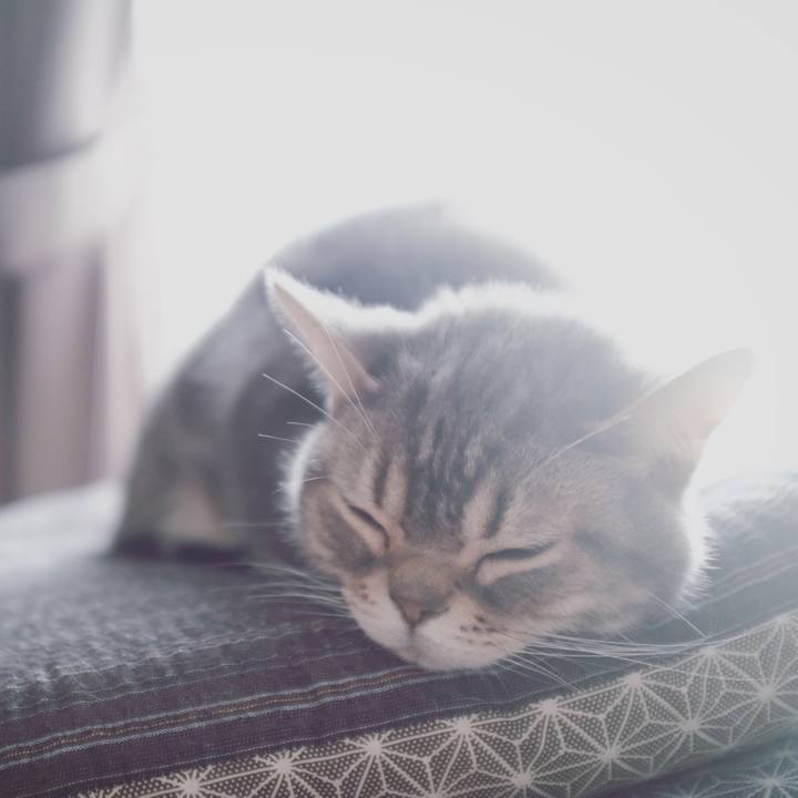 Db354525 4bcb 4269 b3bd 03c5a1a4ce21 1519303262089