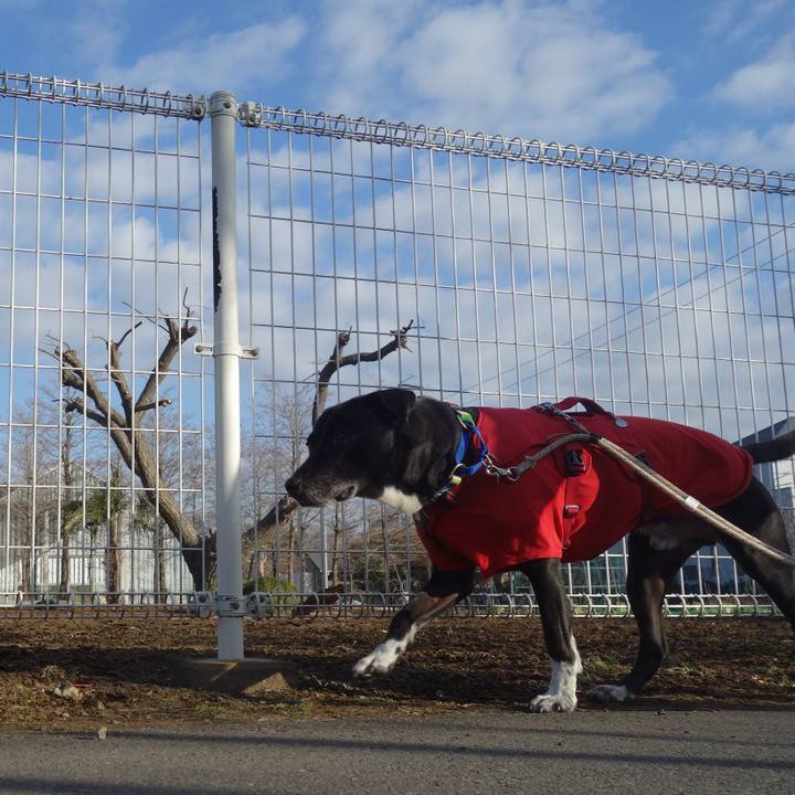 Db354ab3 2486 4085 9c70 5e1613001508 1676597365720