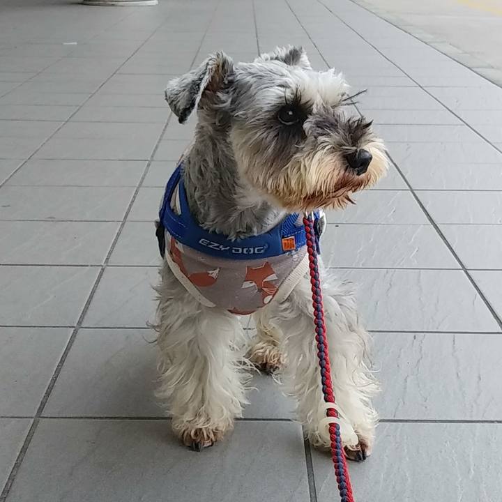 Db354c92 a0ca 4df9 b4ac 807bf725da09 1606689209338