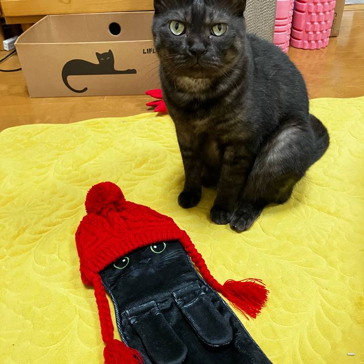 Db3581f5 29b6 4eec b4db fee305007f88 1742894173397