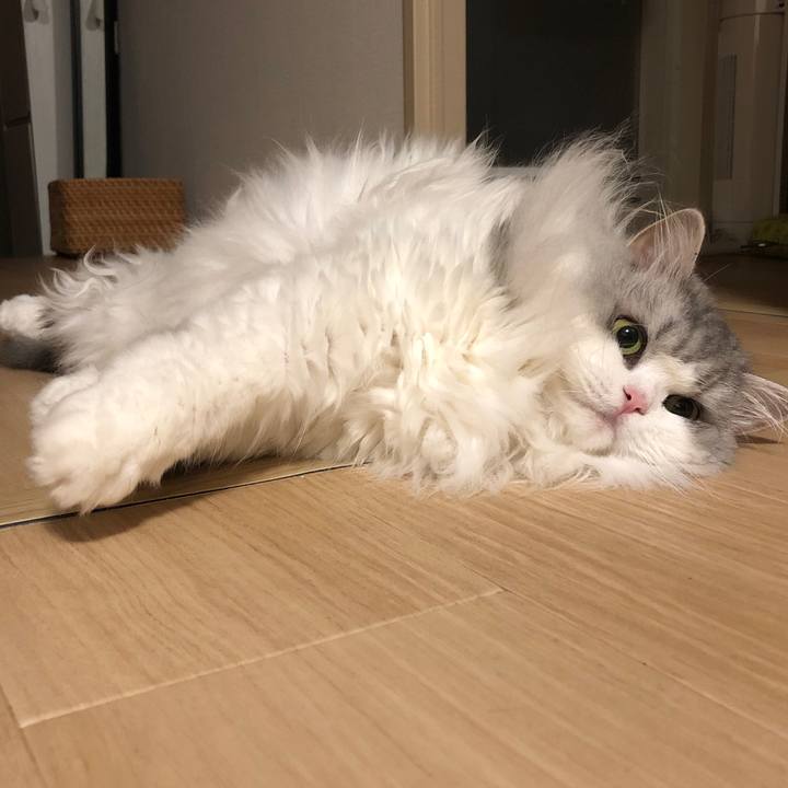 Db359f39 805c 484f b71b 5ea083cffbe3 1601622101104