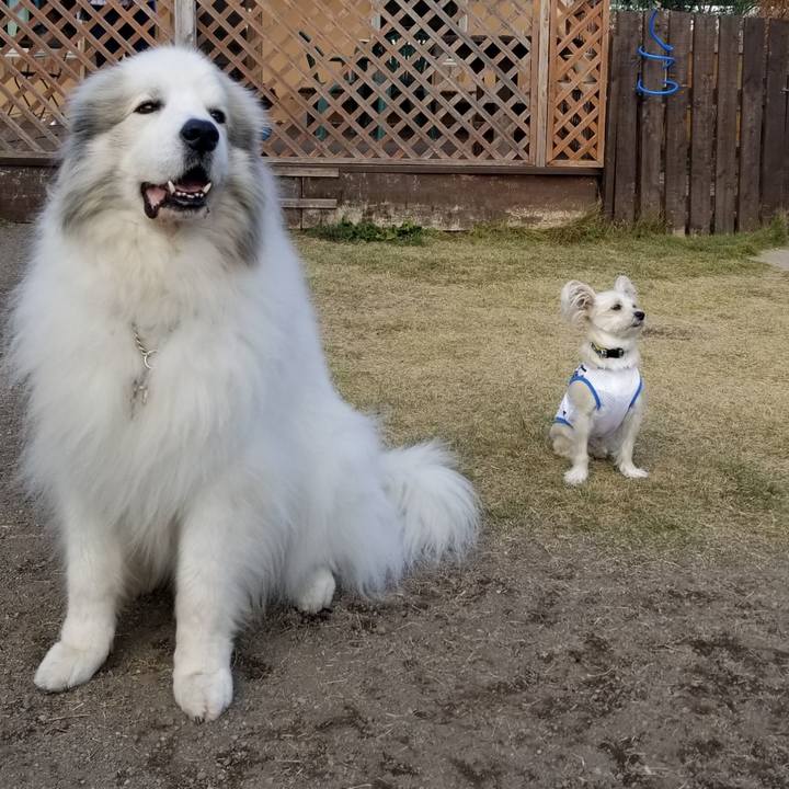 Db36135b eb72 401d 8e4a 92b15833911e 1543413329238