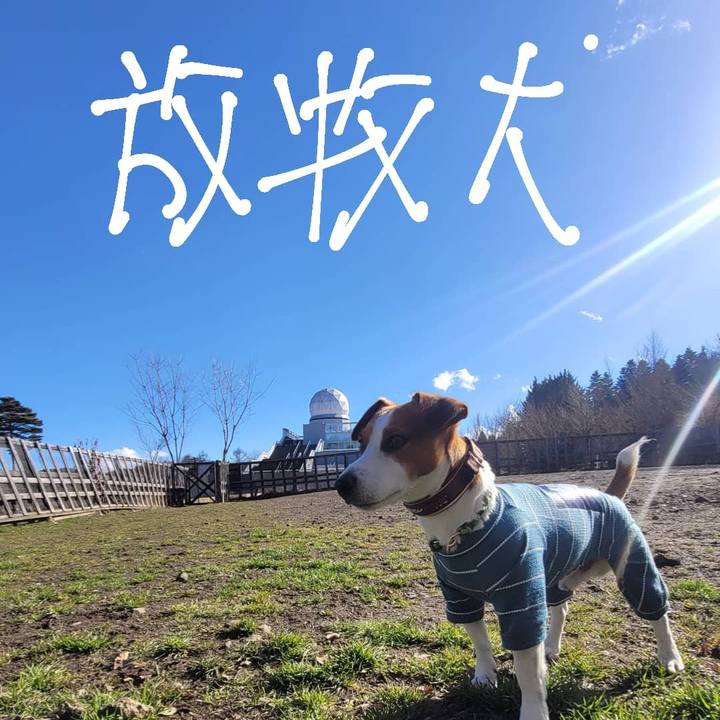 Db361b79 43b5 4744 9e39 ba24c5be4558 1671081929220