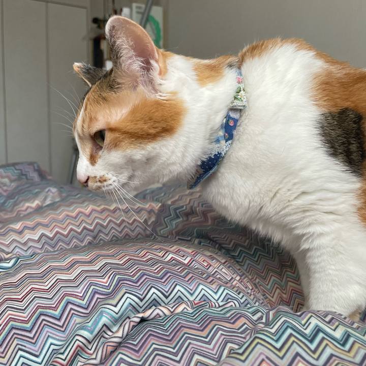 Db362038 bee3 41a2 bd2e b8a449b2666c 1713661934935