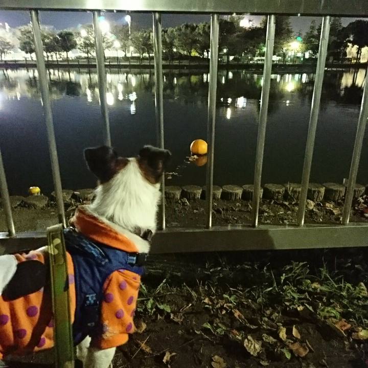 Db3684e3 51d4 4e96 a16b 04b041203dfd 1509104163043