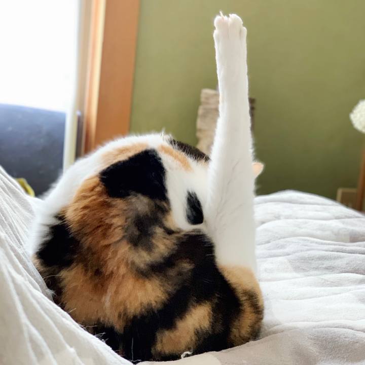 Db368903 17e7 49cc aeb9 54212a4ce4ec 1552874923025