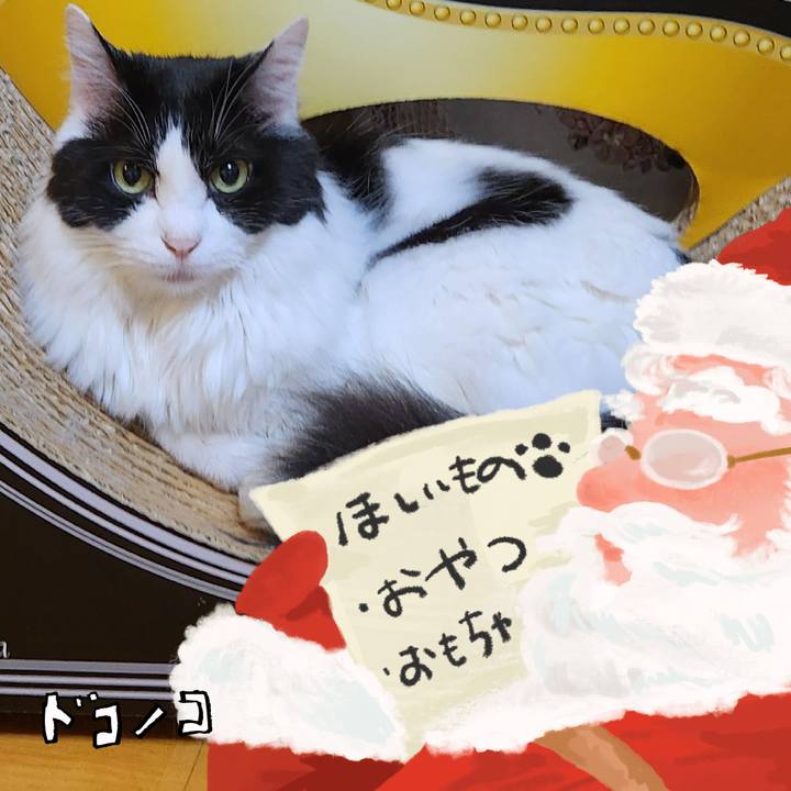 Db368b04 322f 4972 9dd9 75b10e493924 1729330582948