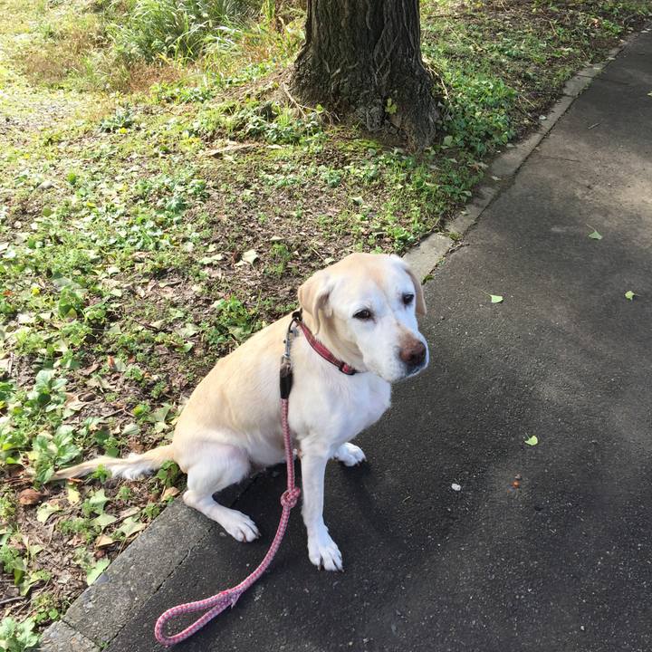 Db370359 31a4 4a8a 9f00 55e47ed13c8c 1509503328550