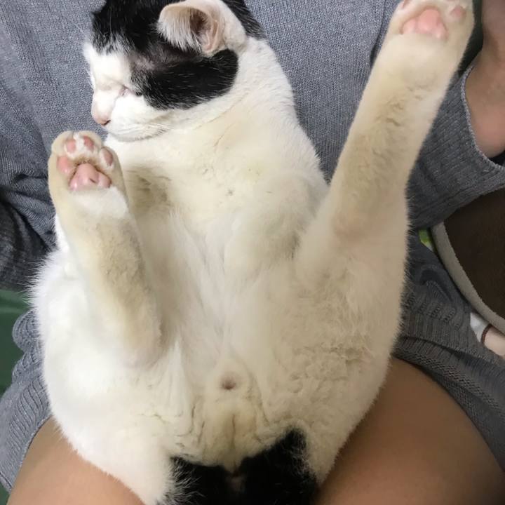 Db37049f 701e 4c1f 8764 58060e893750 1548935275639