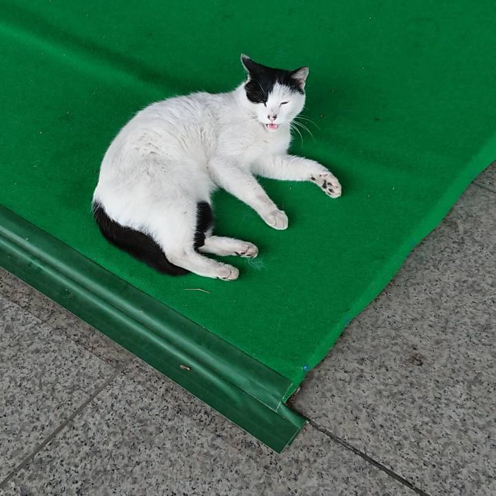 Db376d27 a550 40a4 af37 e1b931dd0d80 1590998031027