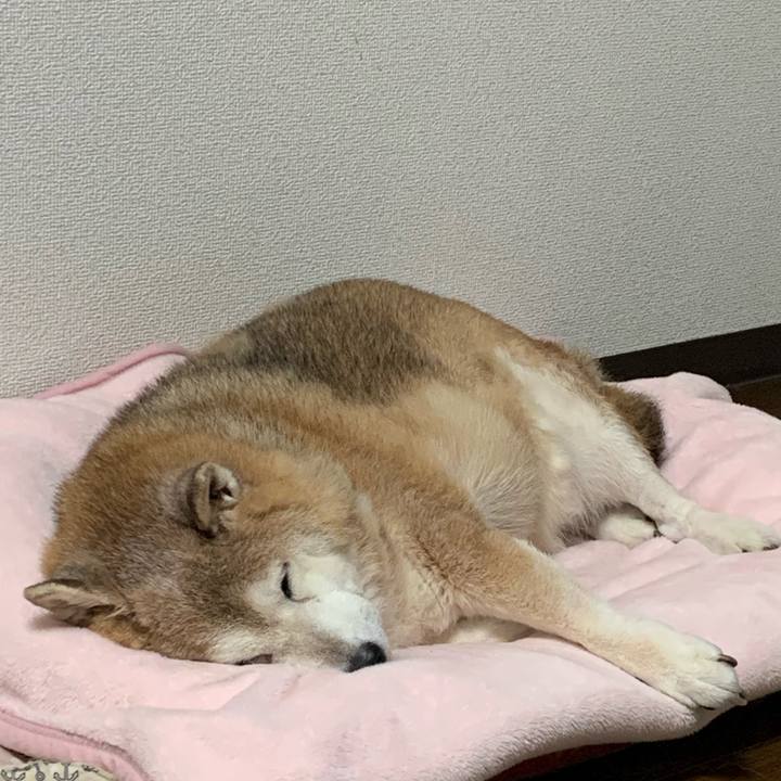 Db3778c3 a929 4f01 a196 dd52059c1614 1635756404237