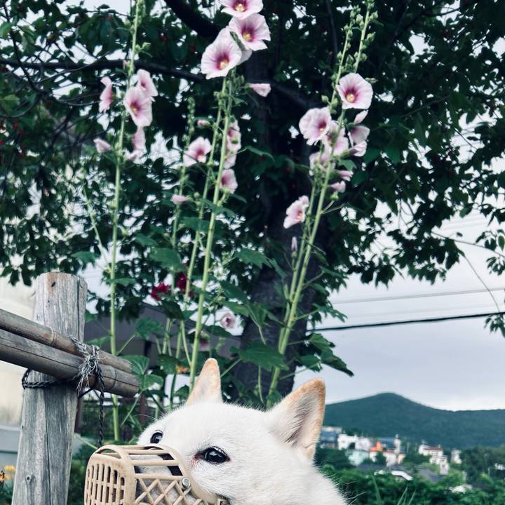 Db37d058 d885 44c4 b547 aea1043bb2bd 1720299735234