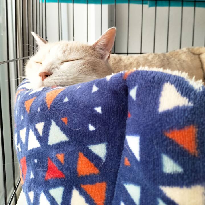 Db37ddd3 63a0 4a53 af8d 91bcf2917fd7 1686435859997