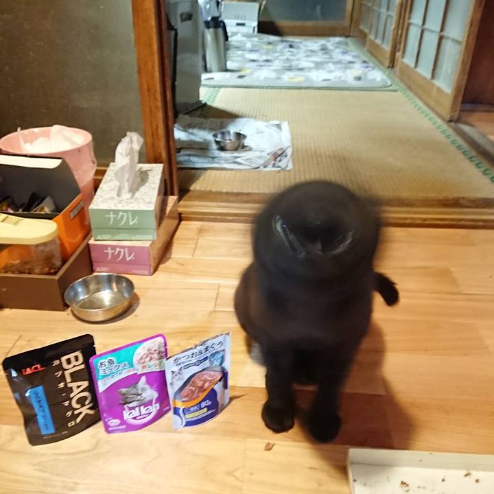 Db380448 b4e1 4fe7 a4cf 2c70f80e9c7a 1623497148637