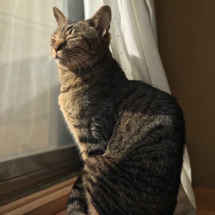 Db382d53 4b9e 40e7 9189 b1ee9ca1f01a 1519433393252