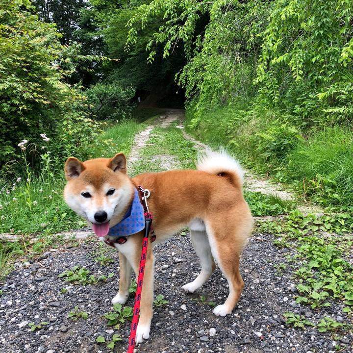 Db38374a 78d6 41eb a572 9f96192a574b 1527487029102