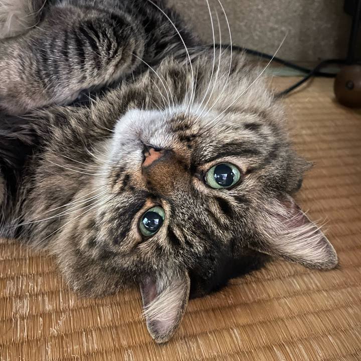 Db38cef9 8805 4ee2 8372 e48a5300664c 1750058878658