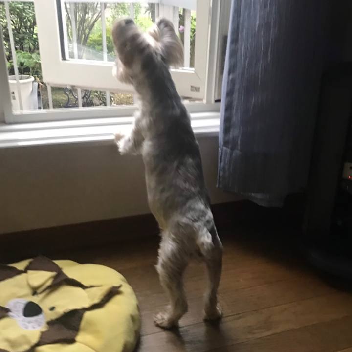 Db398114 dc6c 4a43 b6d8 40227ea85a1a 1566465742874