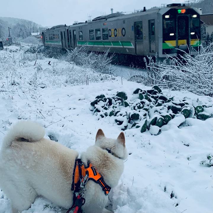 Db3991fe 8167 4123 9862 49c8889e2812 1637650636165