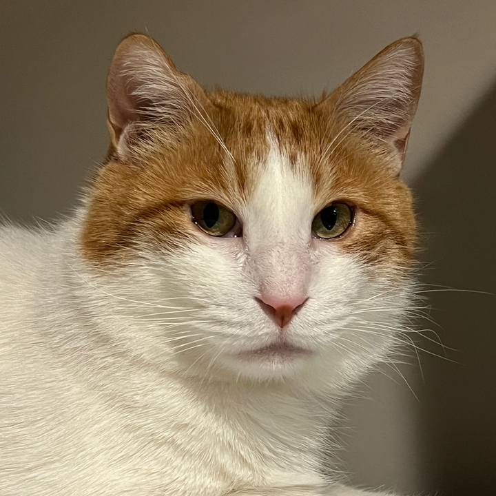 Db39983e 7310 479a 8390 c48e19b69ce3 1765445447327