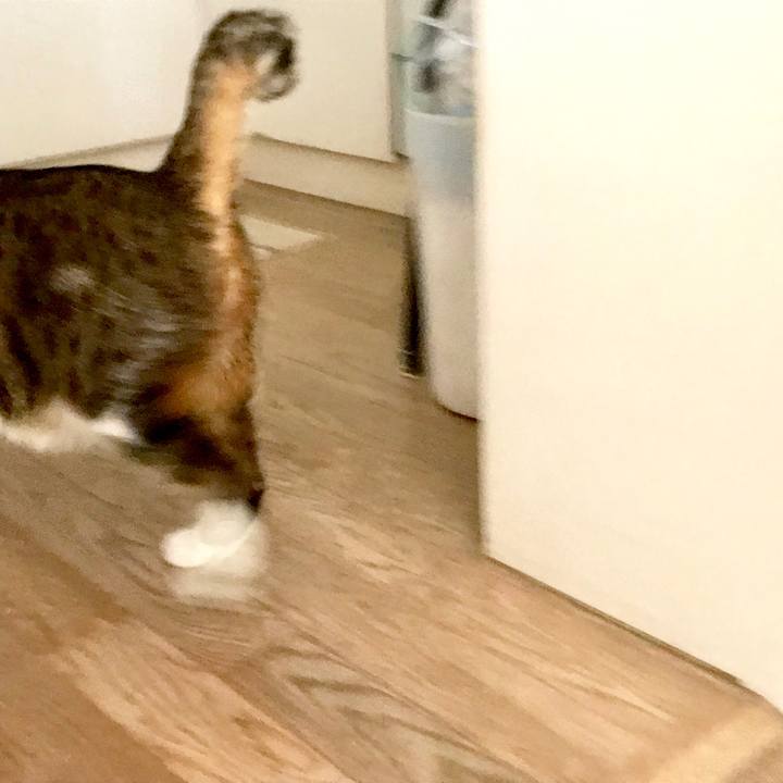 Db39bf8d 0c14 413c bd22 bed54b5b9938 1521612062671