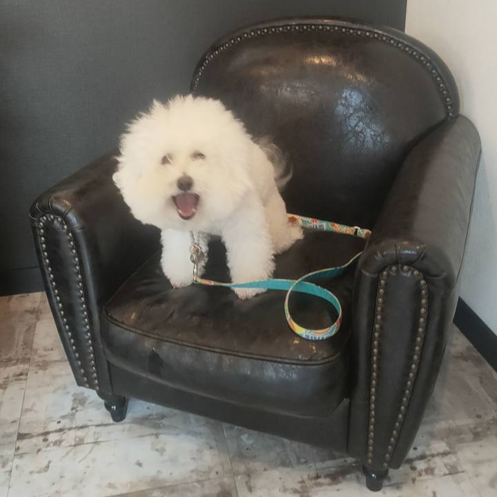 Db3a8225 ae16 4de8 bb1c 9f04a9547d9e 1765075024918