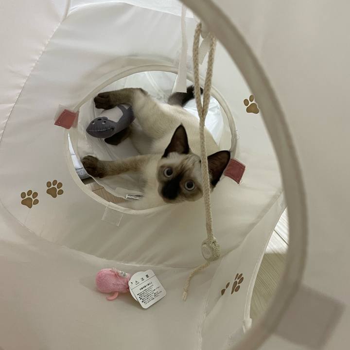 Db3b2a0b 8342 41fe 88aa 403328cbd3c3 1692820702809