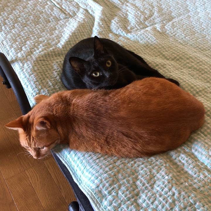 Db3b60d6 0b68 458a acd8 44a50bacfabe 1725190916966