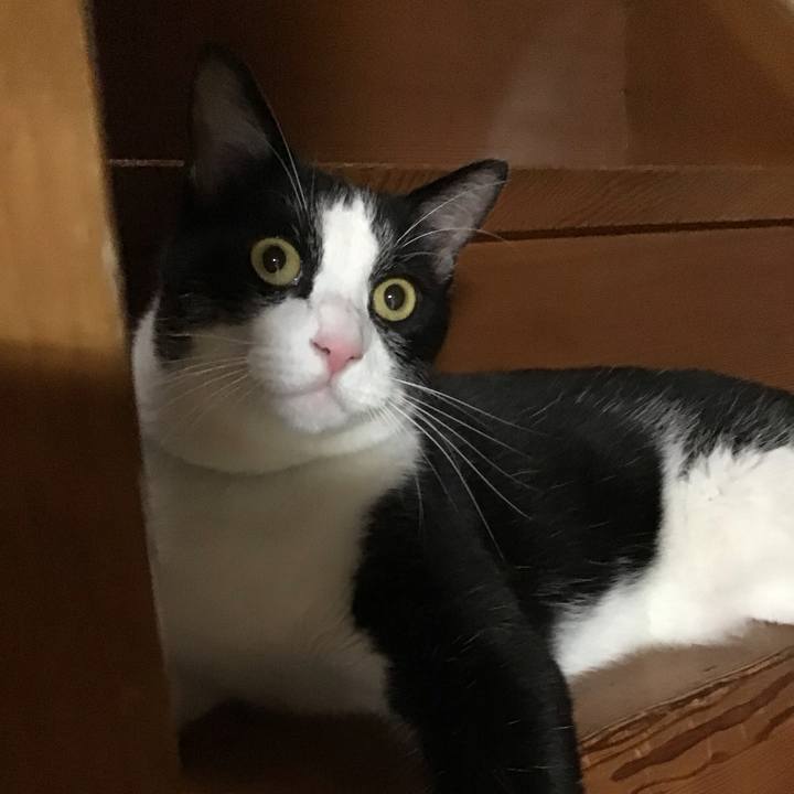 Db3b6dca 1b34 4bc2 9154 b0432d59379d 1694174373123