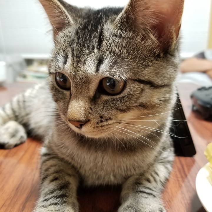 Db3b8209 f8f5 4f7a 89e2 d3de1606160c 1670718279100