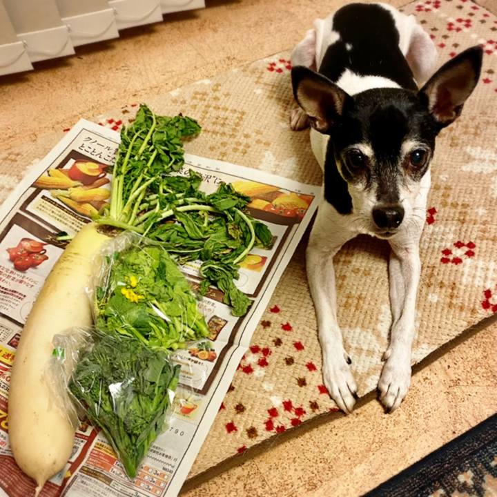 Db3ba1c1 bfab 4aba a087 ce7cfb08126e 1611054022254