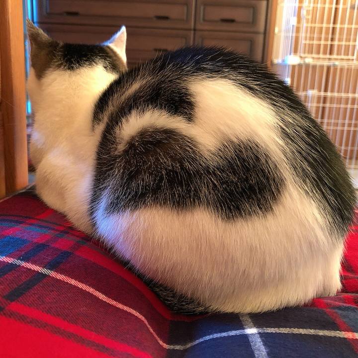 Db3ba6ff 7aed 45b8 97c3 16c2468ad493 1654290166151