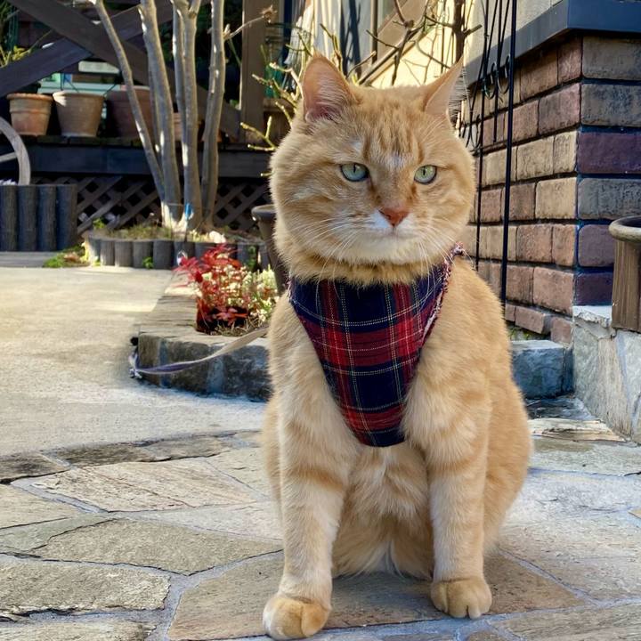 Db3bcc61 5ac5 4a9f 999b 42961acb4a3a 1733808505870