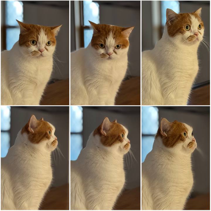 Db3bdb3a 1c1a 40a7 97fc 0d925a1757c8 1765408933287