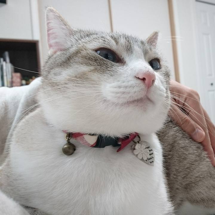 Db3bf75b 186a 49df b271 e2a56ff38176 1556353391676